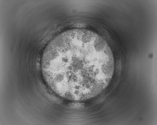 X0000115630553200912221251