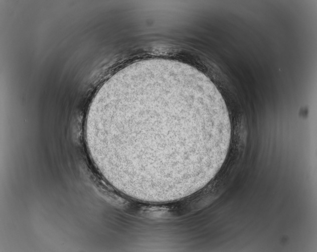 X0000115630554200912221251