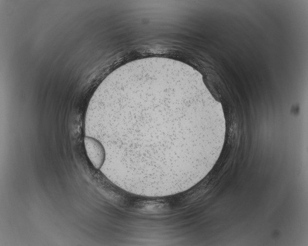 X0000115630555200912221251