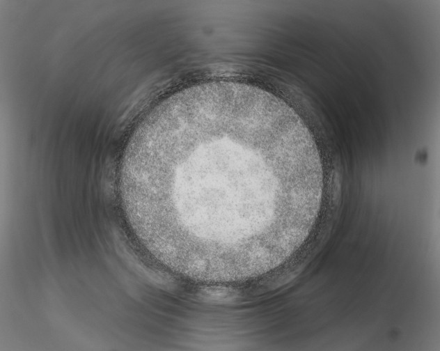 X0000115630557200912221251