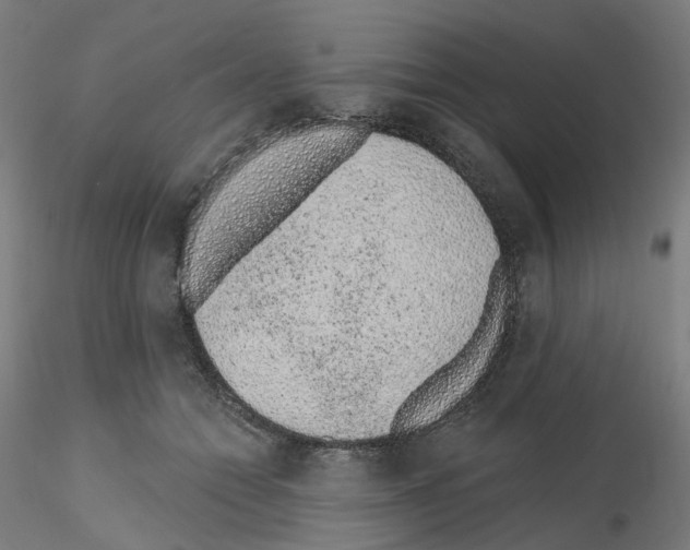 X0000115630558200912221251