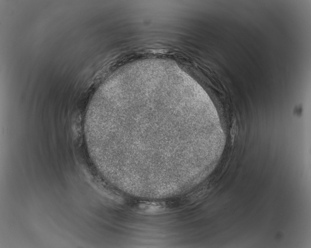 X0000115630559200912221251