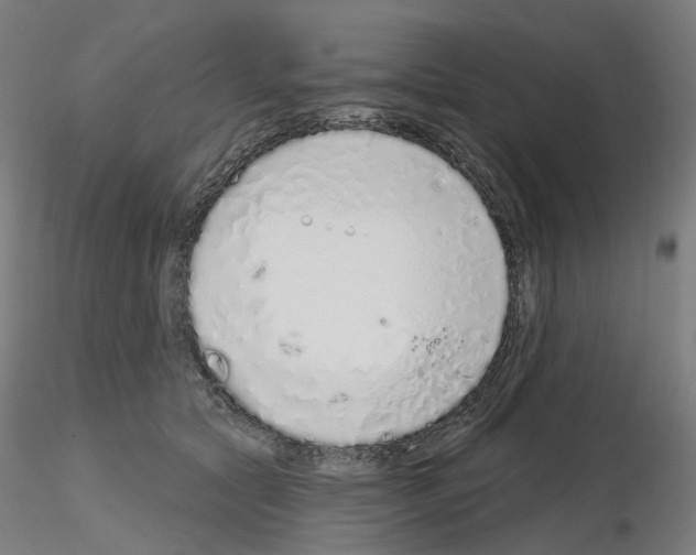 X0000115630561200912221251