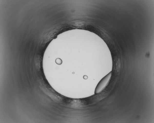 X0000115630562200912221251