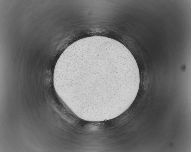 X0000115630563200912221251