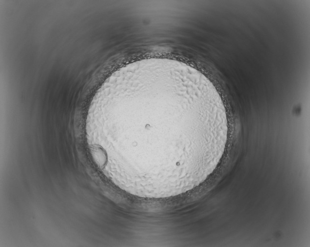 X0000115630565200912221251