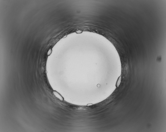 X0000115630566200912221251