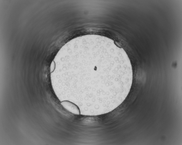 X0000115630567200912221251