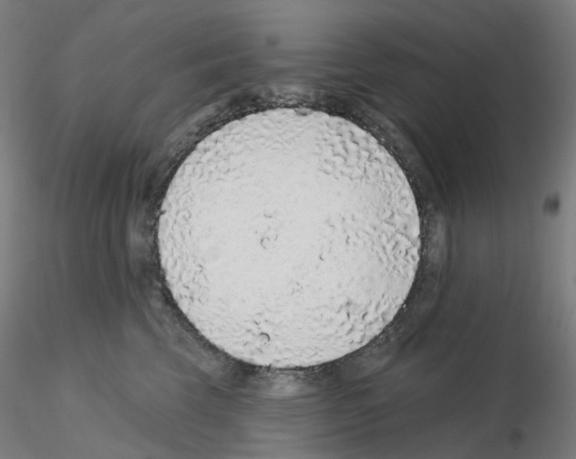 X0000115630569200912221251