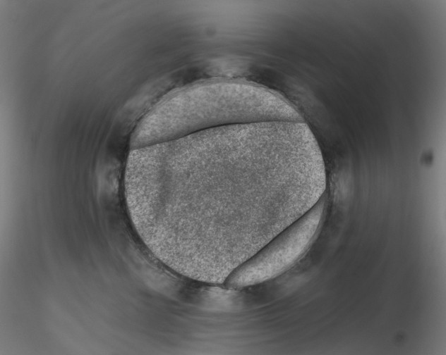 X0000115630570200912221251
