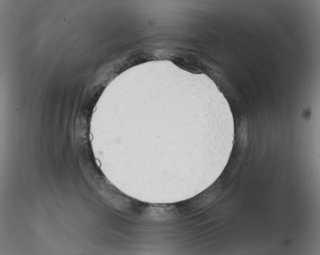 X0000115630571200912221251