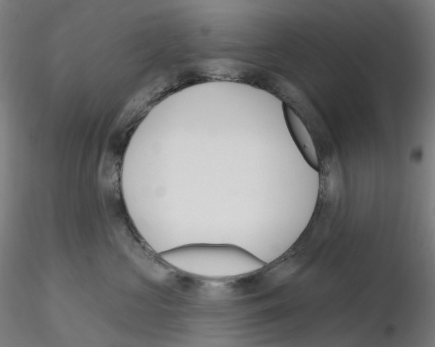 X0000115630573200912221251