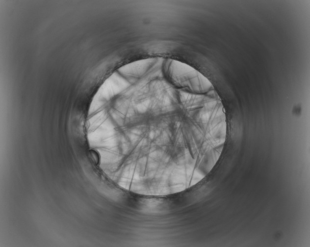 X0000115630575200912221252