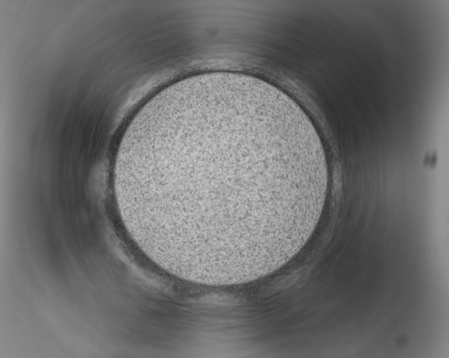 X0000115630578200912221251