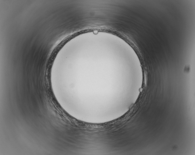 X0000115630579200912221251