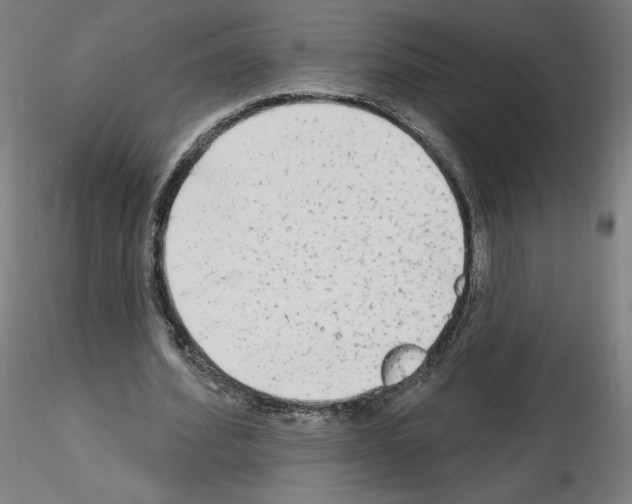 X0000115630580200912221251