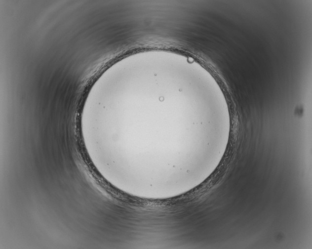 X0000115630581200912221251