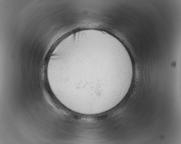 X0000115630582200912221251