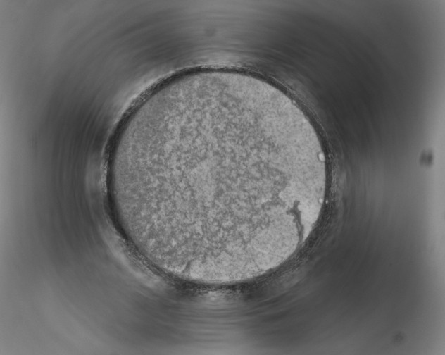 X0000115630584200912221251