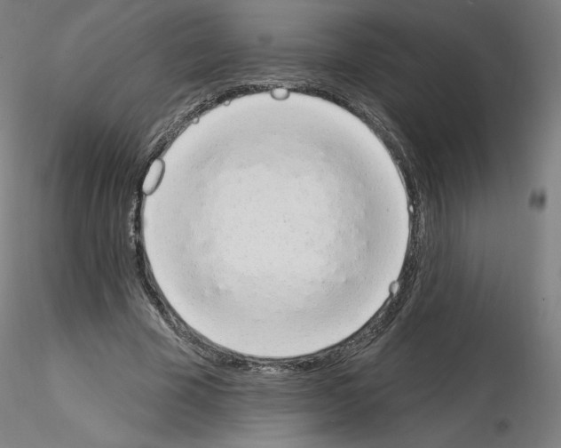 X0000115630585200912221251