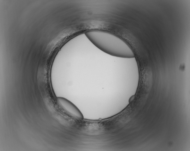 X0000115630587200912221251