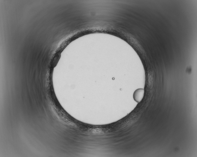 X0000115630588200912221251