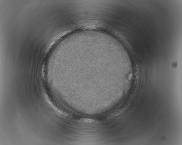 X0000115630590200912221251