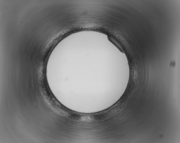 X0000115630591200912221251