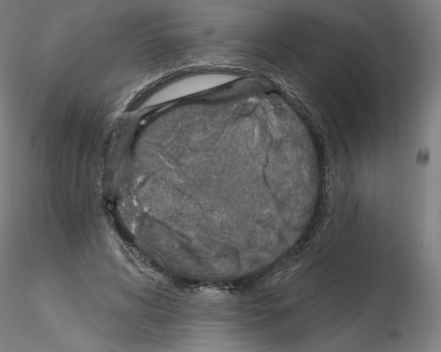 X0000115630592200912221251