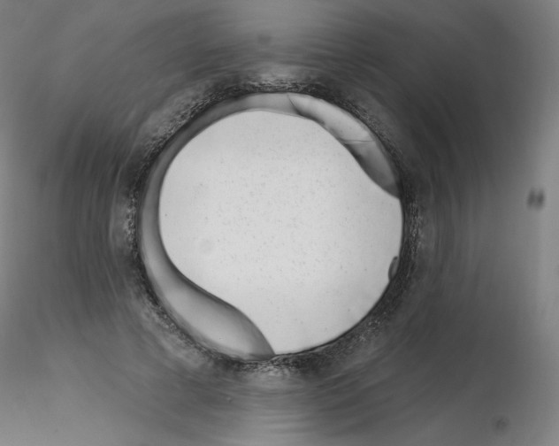 X0000115630593200912221251