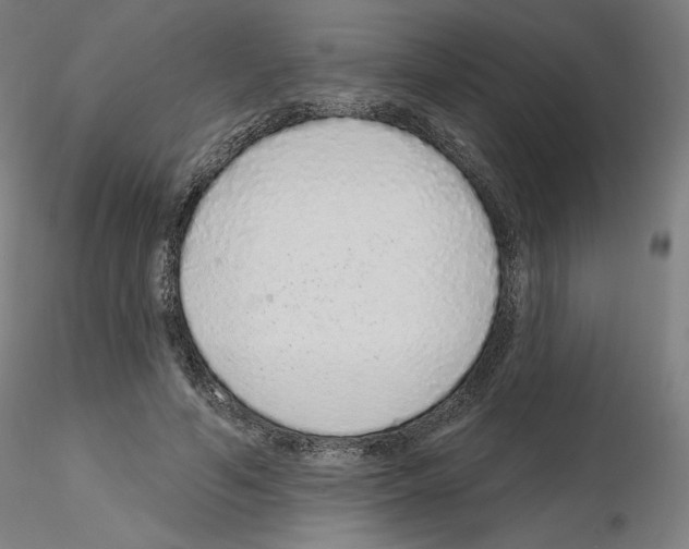X0000115630594200912221251