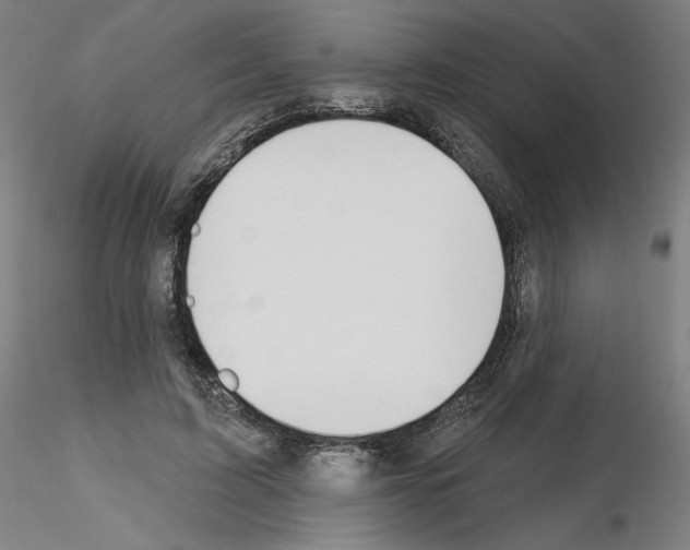 X0000115630595200912221251