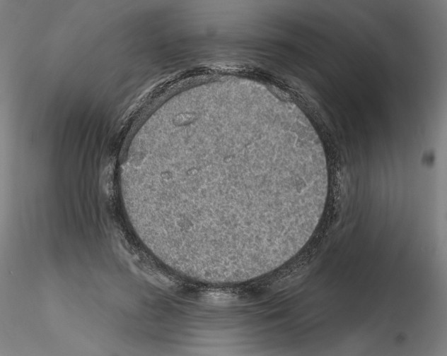 X0000115630596200912221251