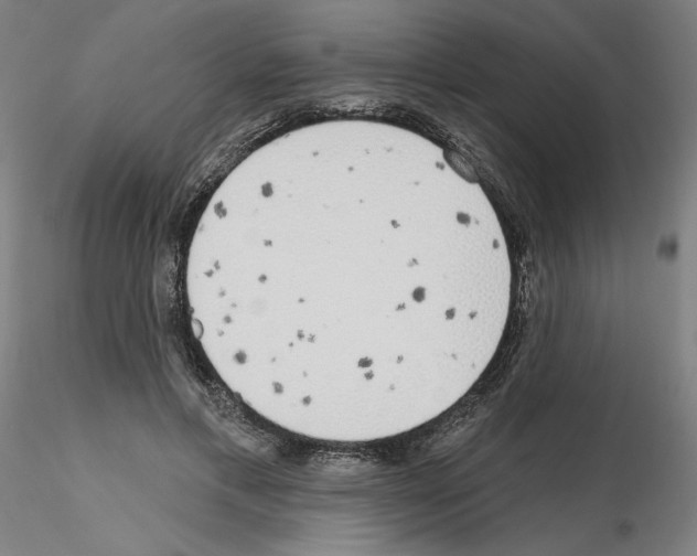 X0000115630597200912221251