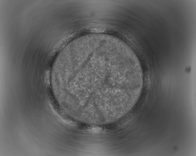 X0000115630598200912221251