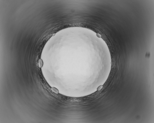 X0000115630599200912221251