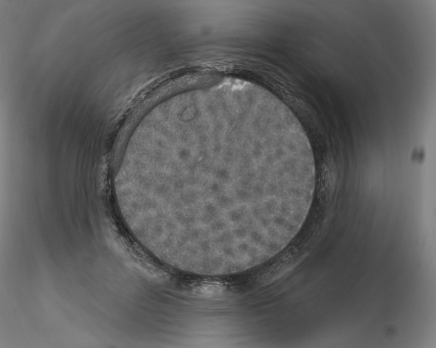 X0000115630600200912221251