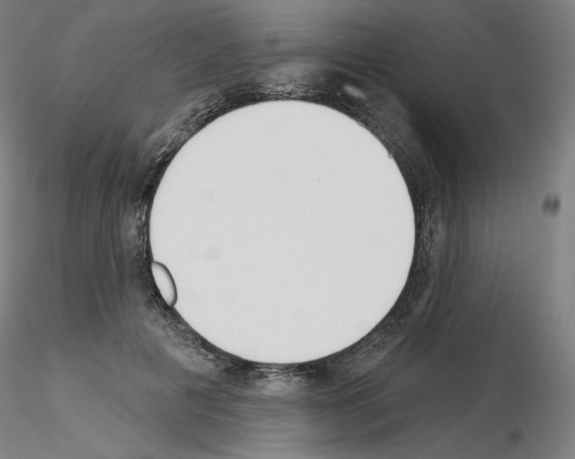 X0000115630601200912221251
