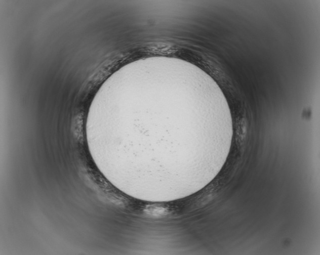 X0000115630602200912221251