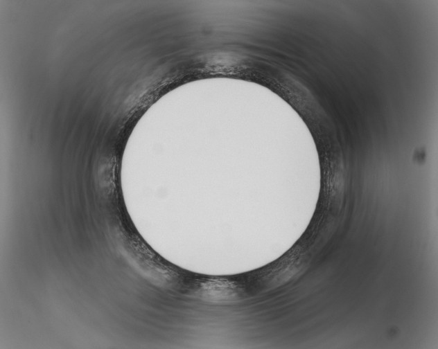 X0000115630603200912221251