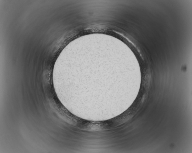 X0000115630604200912221251