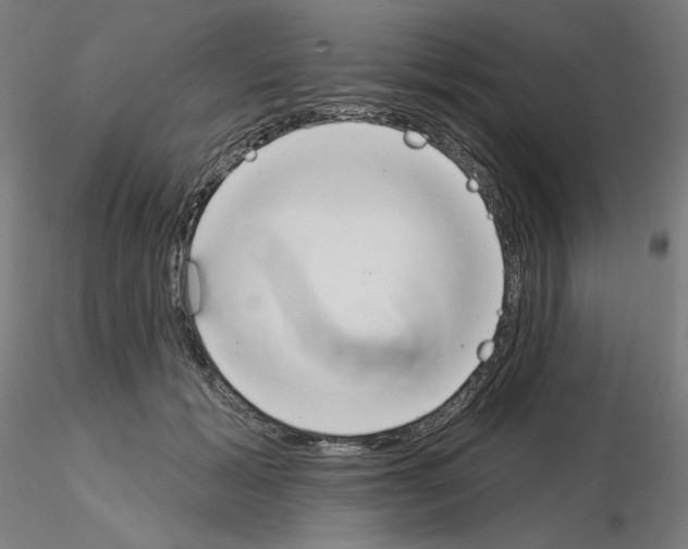 X0000115630605200912221251