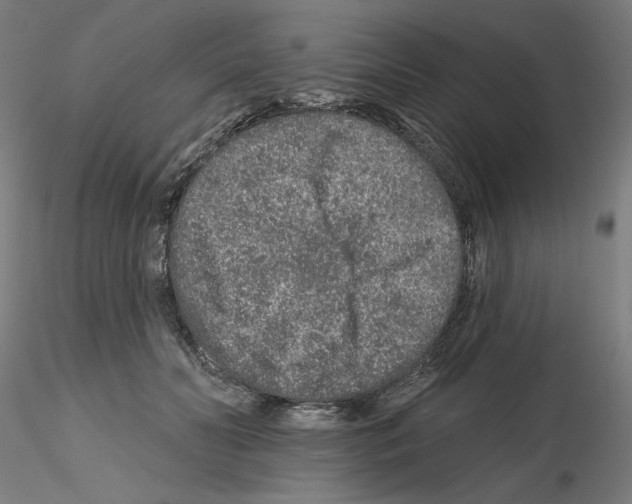 X0000115630606200912221250