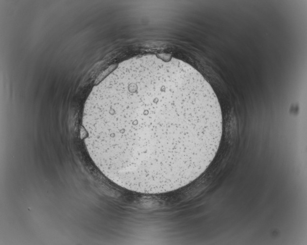 X0000115630608200912221250