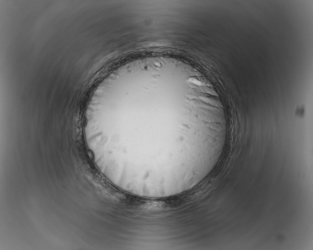 X0000115630609200912221250