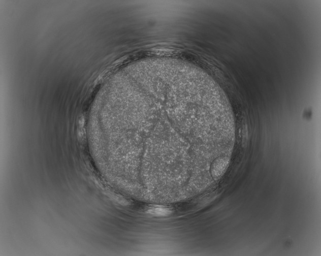 X0000115630610200912221250