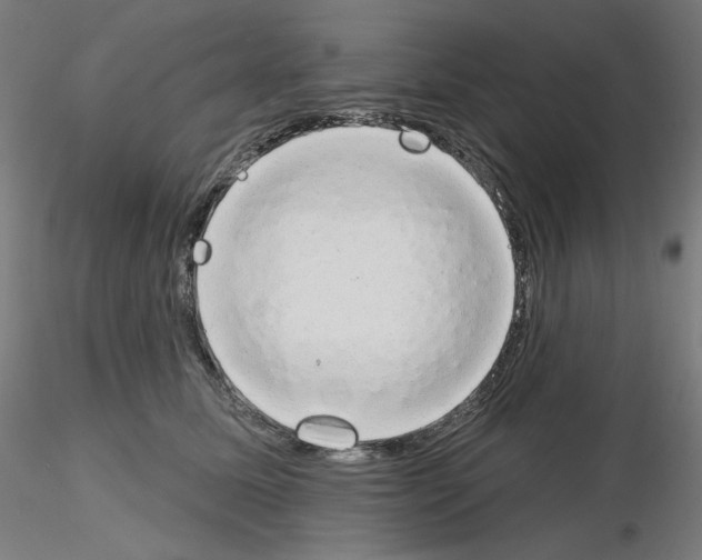 X0000115630611200912221250