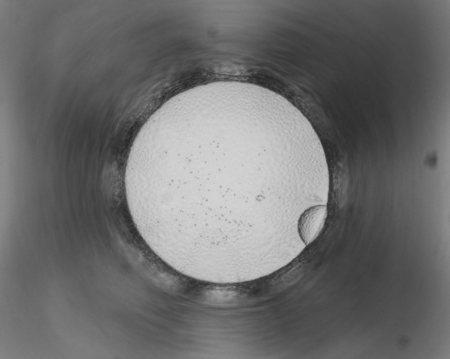 X0000115630614200912221250
