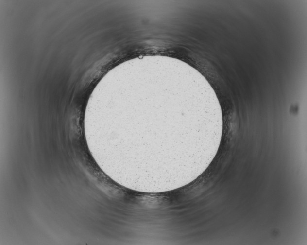 X0000115630615200912221250