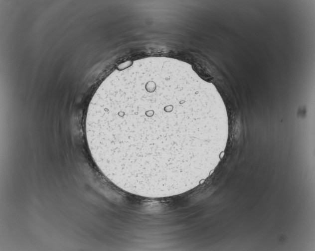 X0000115630616200912221250